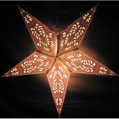 Gray, White Peacock Paper Star Lantern, Hanging Decoration, Hanging Ornaments, Power Cord Included